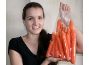NEW SEASONS SPRING CARROTS  2 KG Bag  Pukekohe Grown